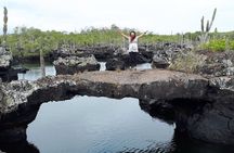 11 Days Galapagos Full Experiences " Santa Cruz- Isabela - San Cristobal "