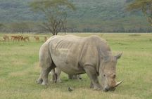  2 Days Lake Nakuru N/P