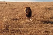  2 Days Lake Nakuru N/P