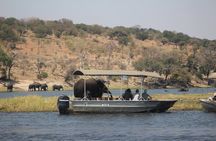Chobe day safari from Victoria Falls