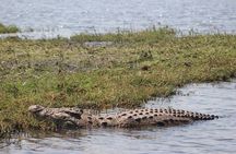 Chobe day safari from Victoria Falls
