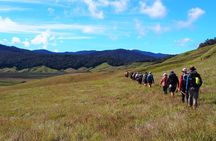 ADVENTURE KOKODA 10-Day Premium Kokoda Campaign Trek Australian Led