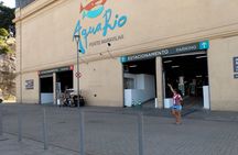 AquaRio + Olympic Boulevard + Transportation