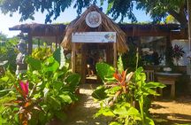 Roatan VIP Shore Excursion Island Tour and Beach