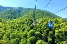 Yixing Bamboo Forest Private Day Tour from Wuxi with Lunch