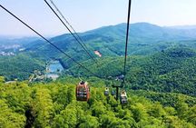 Yixing Bamboo Forest Private Day Tour from Wuxi with Lunch