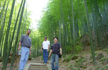 Yixing Bamboo Forest Private Day Tour from Wuxi with Lunch