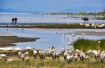 6 days Budget Camping Safari Tour Tanzania