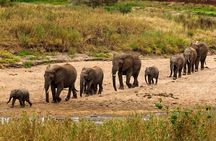 6 days Private Safari Tour Tanzania