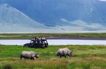 6 days Private Safari Tour Tanzania