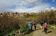 Day Trek To Majestic Atlas Mountains & Asoual Summit 2700m