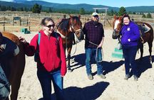 Sierra Historic Tour from Reno