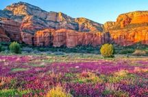 Scenic Sedona Tour