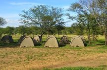3 Days Budget Camping Safari Tour Tanzania