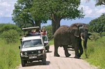 3 Days Serengeti Private Safari Tanzania 
