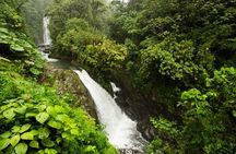 La Paz Waterfalls