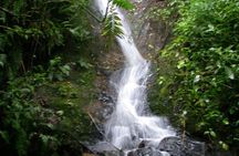 La Paz Waterfalls