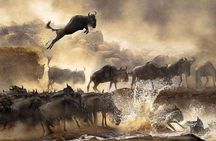 4 days Private Safari Tour Tanzania