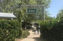 6hr Hobbiton Movie Set Tour - Departs Tauranga