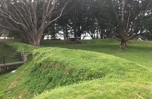 Tauranga Shore Excursion: History & Kiwifruit Tasting – 4 Hours