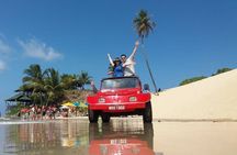 Buggy Tour along the North Coast (Genipabu)