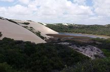 Buggy Tour along the North Coast (Genipabu)