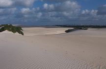 Buggy Tour along the North Coast (Genipabu)