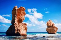 Great Ocean Road Tour Plus Koalas, Forest Walk and Morning Tea