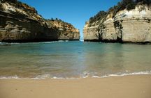 Great Ocean Road Tour Plus Koalas, Forest Walk and Morning Tea