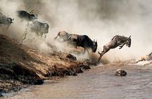 5 days Tanzania Camping Safari Tour 