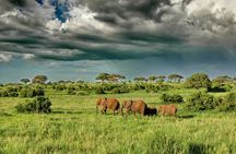 5 days Tarangire Serengeti and Ngorongoro Crater Tanzania
