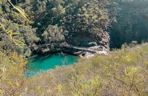 Baldwins Bluff Guided Hike
