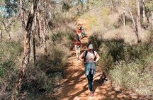 Baldwins Bluff Guided Hike