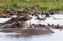 5 days Tanzania Camping Safari Tour 