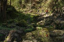 IBO-Matacanes Canyon