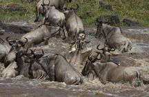 6 days Budget Camping Safari Tour Tanzania