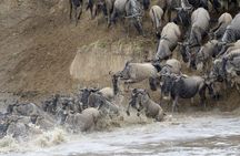 6 days Budget Camping Safari Tour Tanzania