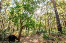 Darling Ranges | Kitty's Gorge Guided Hike