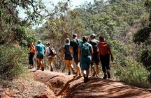 Darling Ranges | Kitty's Gorge Guided Hike