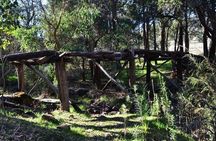 Darling Ranges | Kitty's Gorge Guided Hike