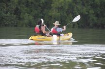 Wildlife and Mangrove Kayaking Tour Río Ora