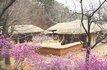 Korean Folk Village Private Tour 