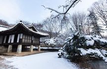 Korean Folk Village Private Tour 