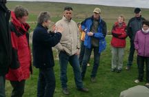 Cruise Excursion: Hadrian's Wall & the Roman Frontier