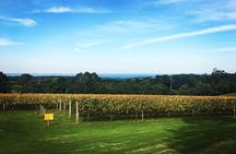 Yarra Valley Private Car Winery Tour And Chocolate.1-7 Passengers One Car Price 