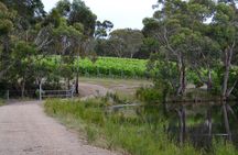 Yarra Valley Private Car Winery Tour And Chocolate.1-7 Passengers One Car Price 