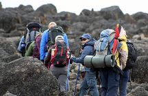 7 Days Mount Kilimanjaro Machame Route Climb