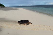Seychelles Island Tour (PRIVATE 4 hours or 8 Hours)