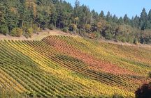 Private Wine Tour with Tastings from Eugene