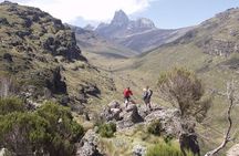 Mt. Kenya trekking 5 days Sirimon route